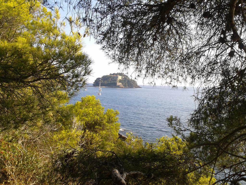 Les Palmiers Hotel 3*