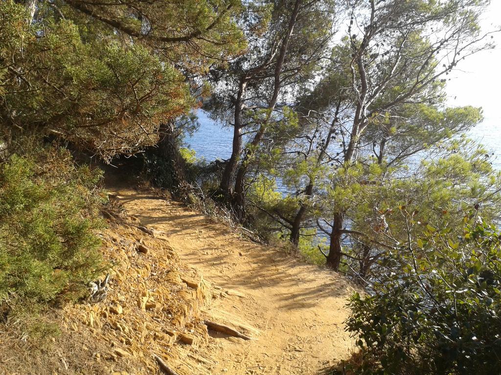 Les Palmiers 3* Bormes-les-Mimosas