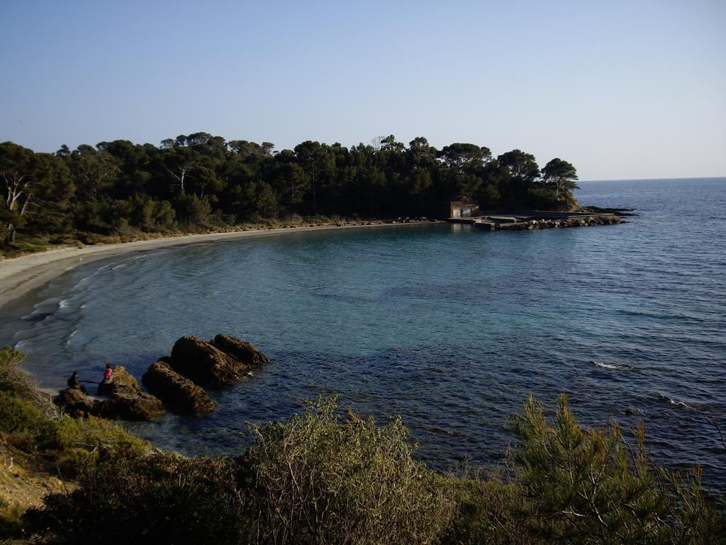 Les Palmiers Bormes-les-Mimosas