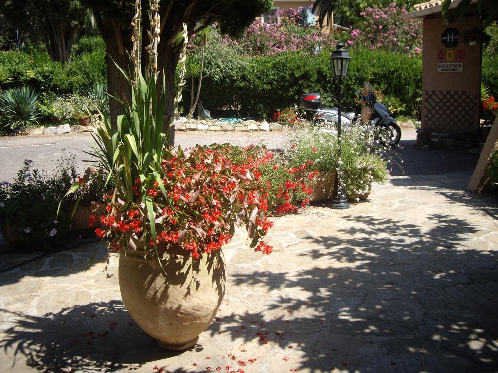 Les Palmiers Bormes-les-Mimosas