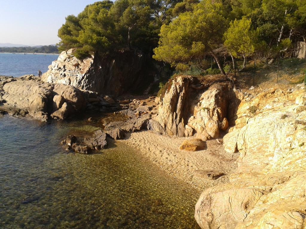 Les Palmiers