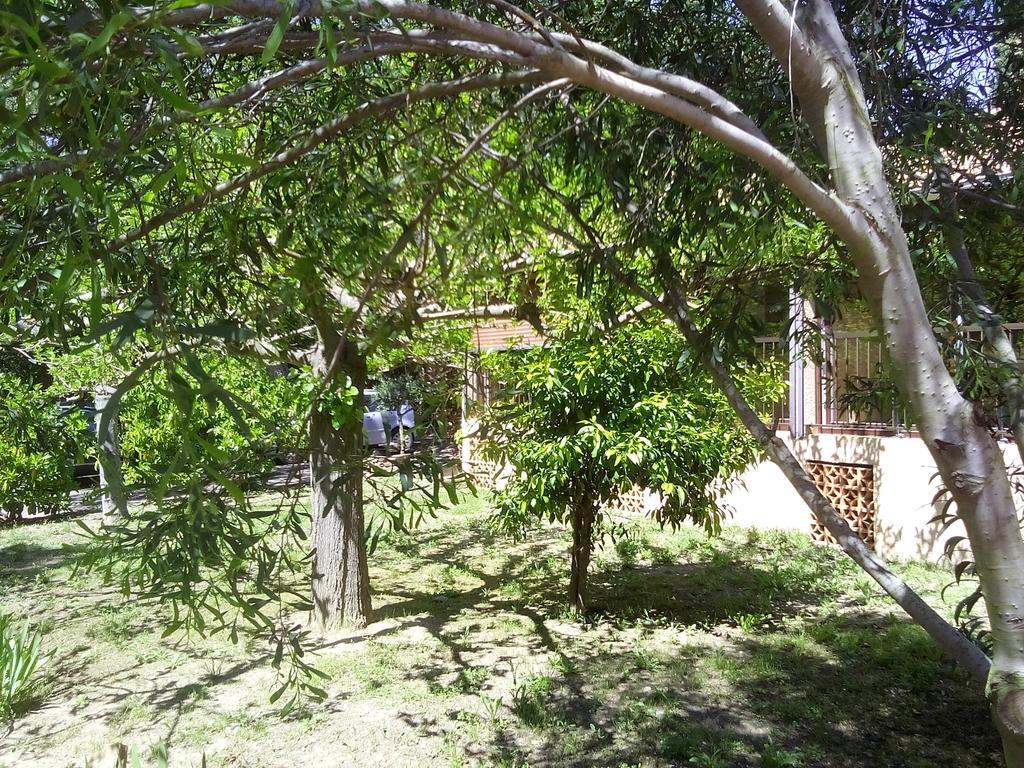 Hotel Les Palmiers 3*