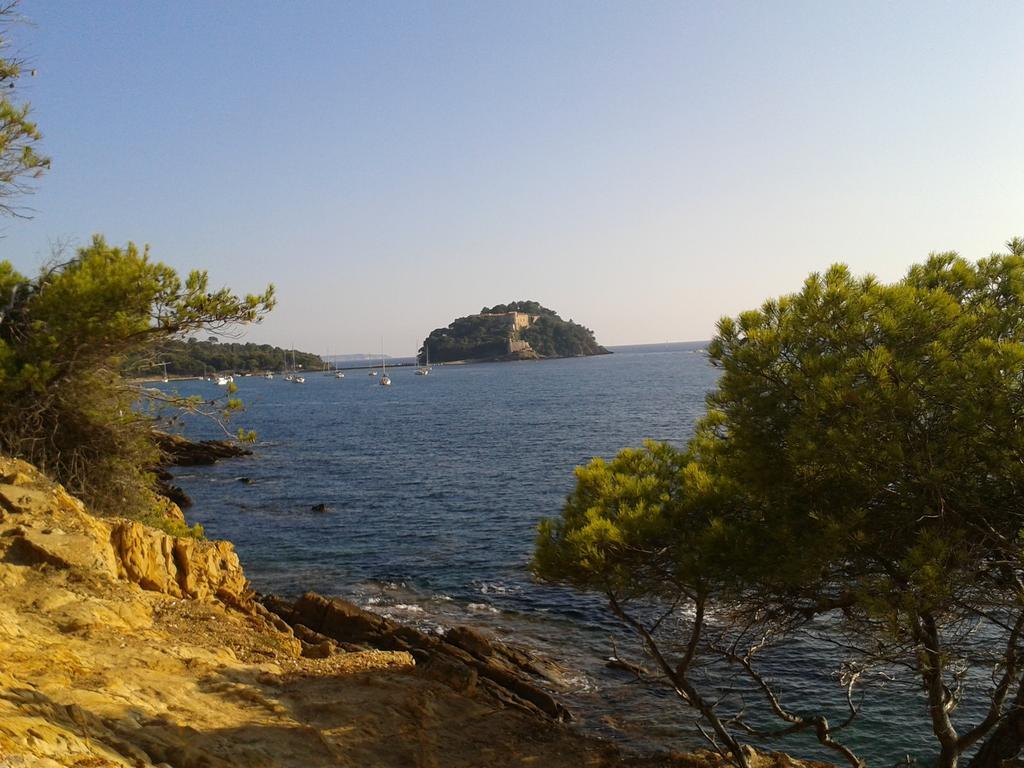 Les Palmiers 3*